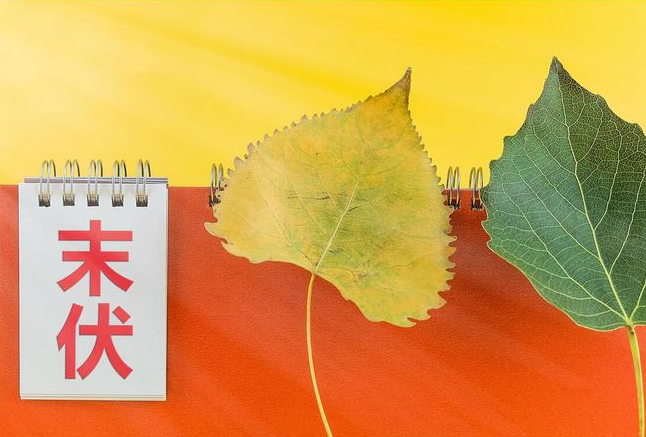 末伏第一天，來吃個張成榮大雞腿吧！