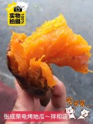 學校周圍秋冬賣什么最賺錢？張成榮電烤雞架來支招！
