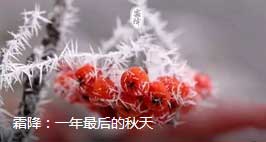 2018霜降來臨：張成榮電烤雞架邀你一起進入養生季！