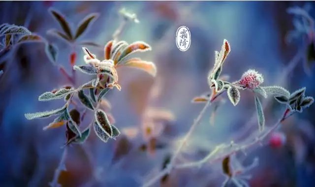 2018霜降來臨：張成榮電烤雞架邀你一起進入養(yǎng)生季！