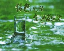 張成榮電烤雞架，爭做綠色低碳餐飲小吃先鋒品牌！